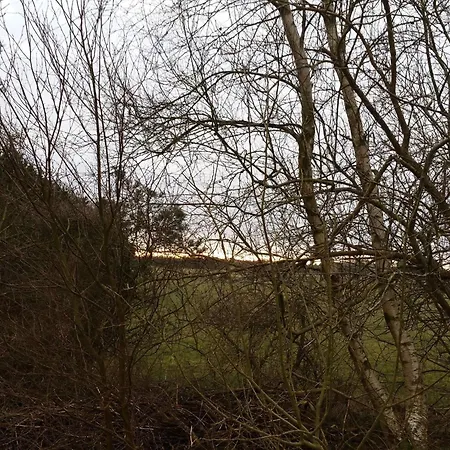 Enchanting Forest Retreat-by Traum Vakantiehuis Nørre Nebel