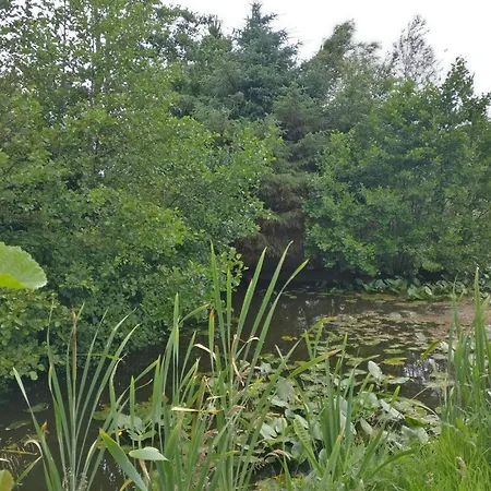 Vakantiehuis Enchanting Forest Retreat-by Traum Nørre Nebel